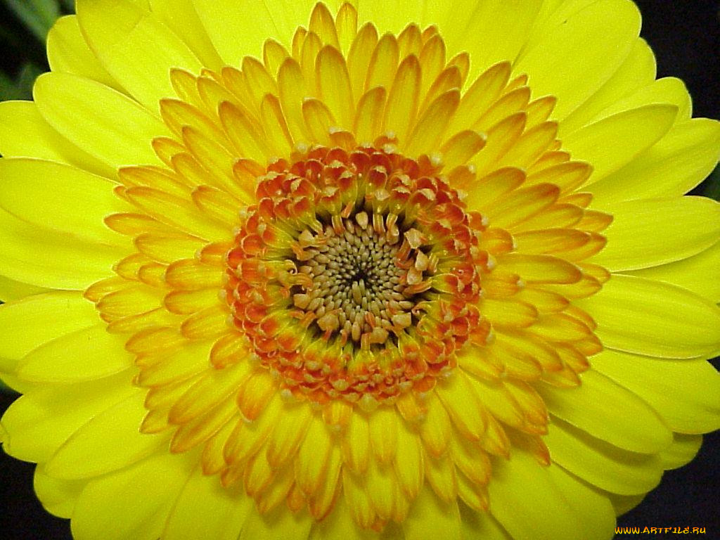 , 